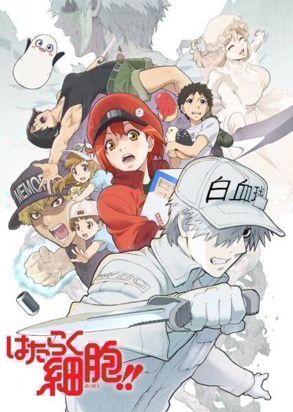 Hataraku Saibou (Cells at Work!) Season 2 เซลล์ขยัน พันธุ์เดือด ซีซั่น 2 พากย์ไทย